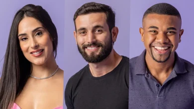 bbb 23 participantes seguidores