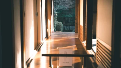 pexels photo 1743555